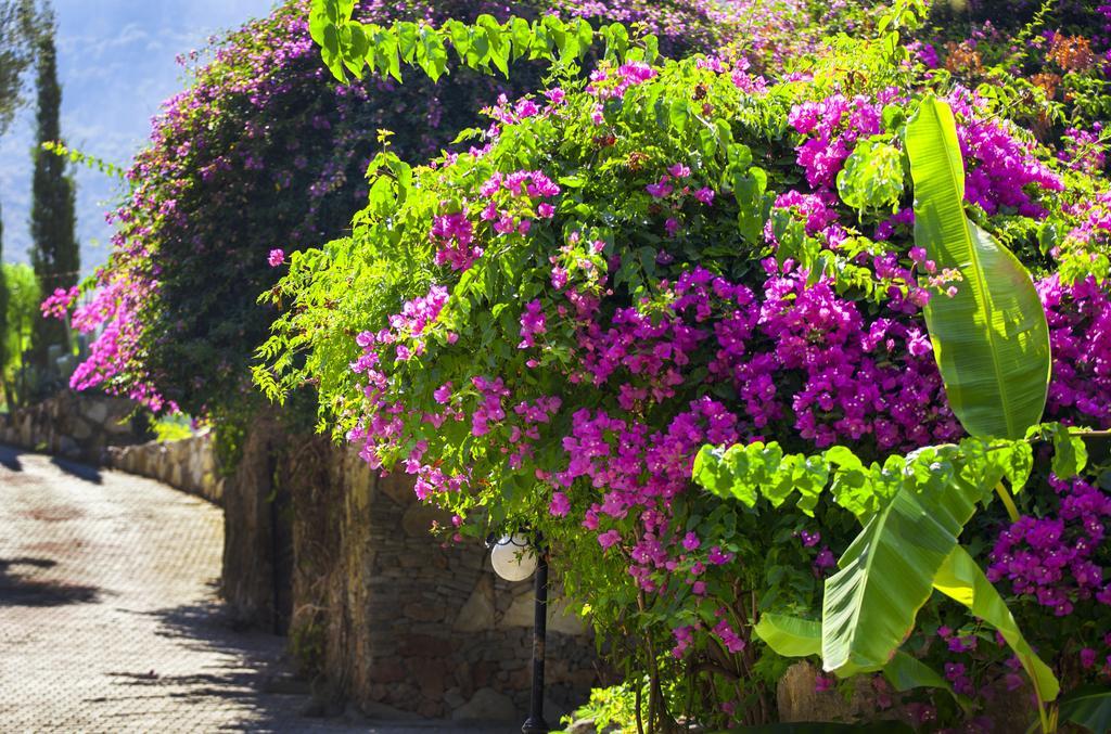Paradise Garden Hotel Ολουντενίζ Εξωτερικό φωτογραφία