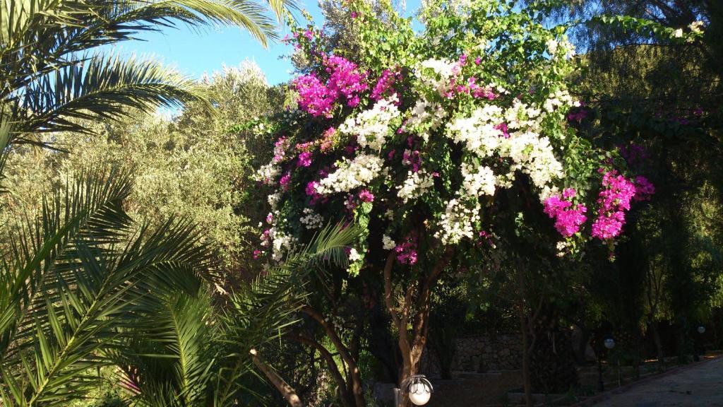 Paradise Garden Hotel Ολουντενίζ Εξωτερικό φωτογραφία