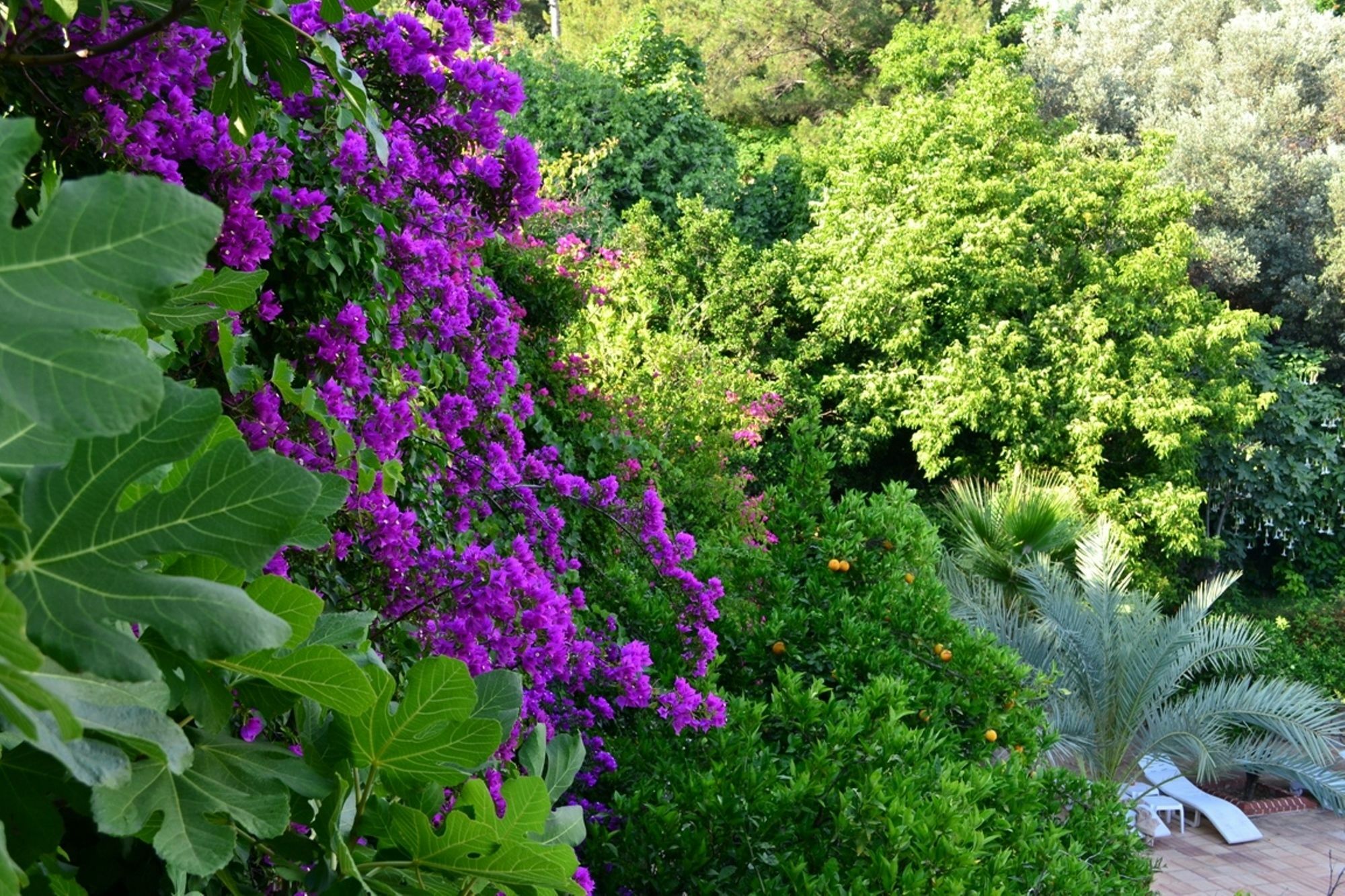 Paradise Garden Hotel Ολουντενίζ Εξωτερικό φωτογραφία